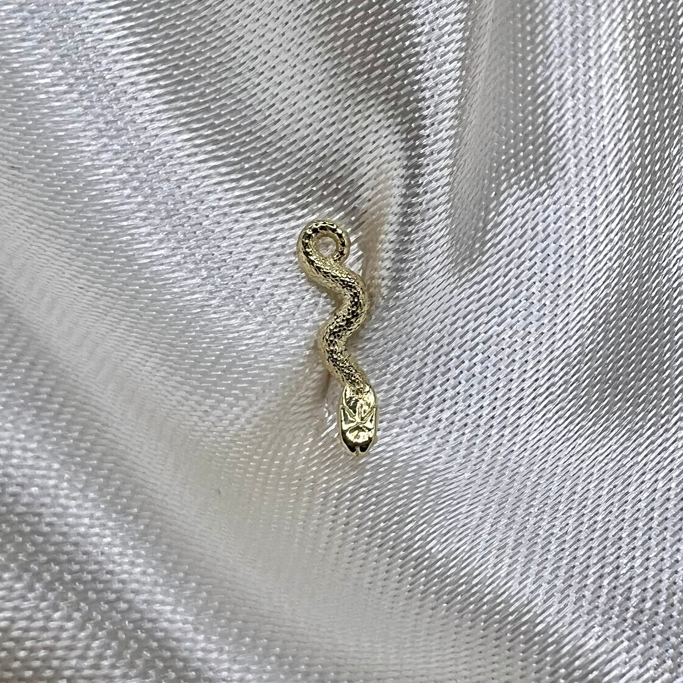 Terminale Manasa serpente