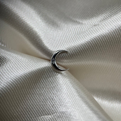Terminale Luna
